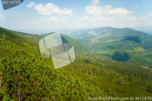 Image of Beautiful meadows on  mountains