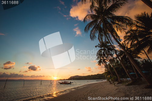 Image of Sunset over the tropical beach. 