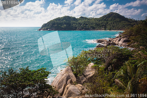 Image of The rocky shore or beach 