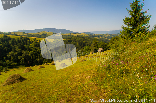 Image of Beautiful meadows on  mountains