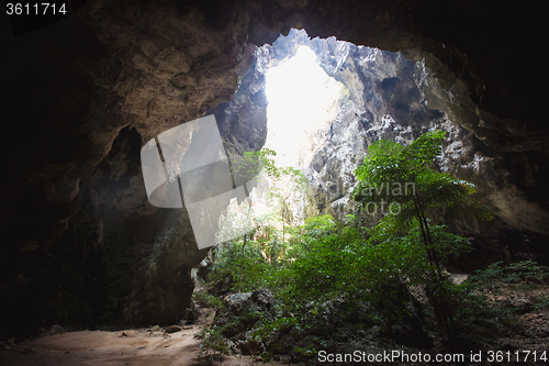 Image of Sunl light in the cave at Thailand