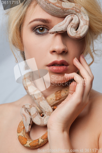 Image of Beautiful girl and the snake Boa constrictors, which wraps around her face