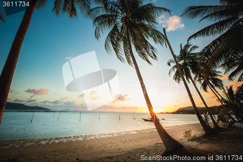 Image of Sunset over the tropical beach. 