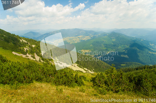 Image of Beautiful meadows on  mountains