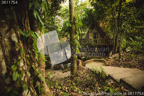 Image of jungle of Thailand