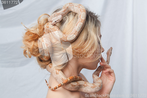 Image of Beautiful girl and the snake Boa constrictors, which wraps around her face