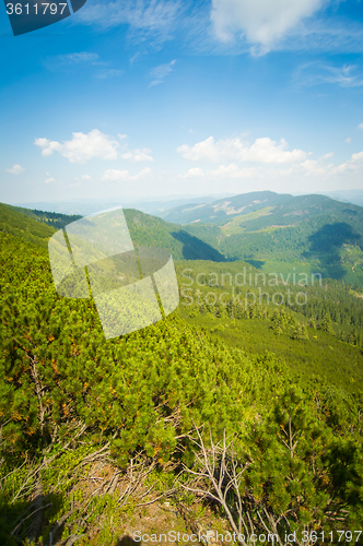 Image of Beautiful meadows on  mountains