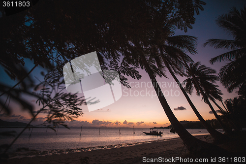 Image of Sunset over the tropical beach. 