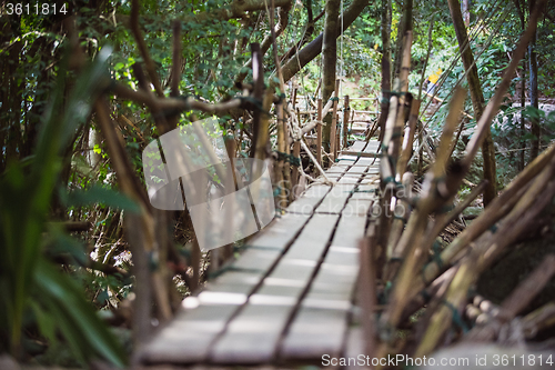 Image of Wooden bridge in the forest