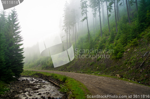 Image of Beautiful pine trees on  mountains