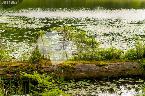 Image of Beautiful lake in  mountains