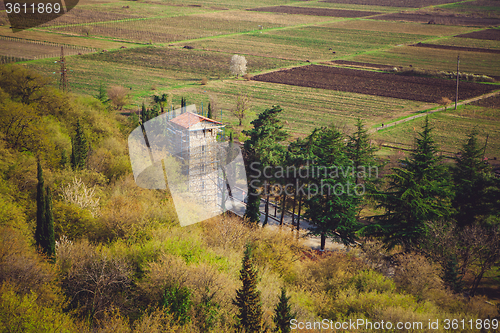 Image of Kakheti  Alazany  Valley