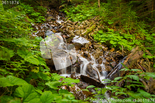 Image of Beautiful mountain stream on  mountains