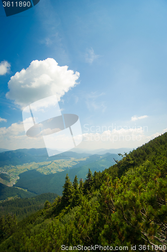 Image of Beautiful meadows on  mountains