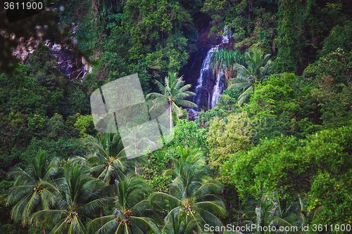 Image of Deep forest Waterfall in Thailand