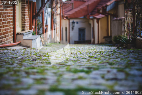 Image of The paving stones overgrown with grass.