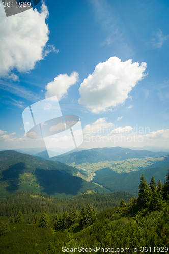 Image of Beautiful meadows on  mountains