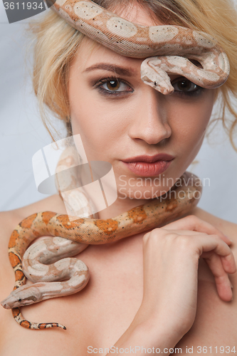 Image of Beautiful girl and the snake Boa constrictors, which wraps around her face