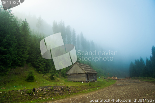 Image of Beautiful pine trees on  mountains