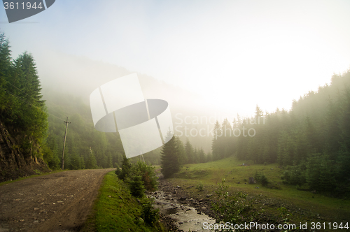 Image of Beautiful pine trees on  mountains