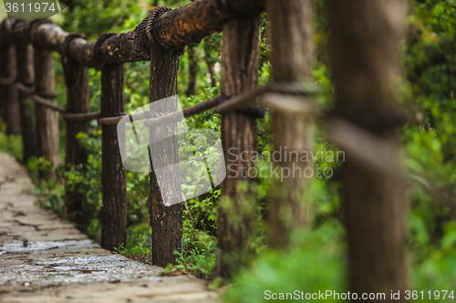 Image of Suspension bridge in the forest