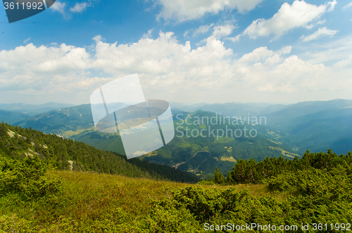 Image of Beautiful meadows on  mountains