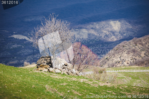 Image of The antique city Uplistsikhe, Georgia