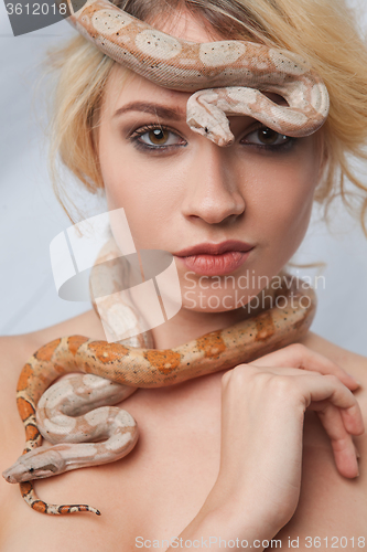 Image of Beautiful girl and the snake Boa constrictors, which wraps around her face