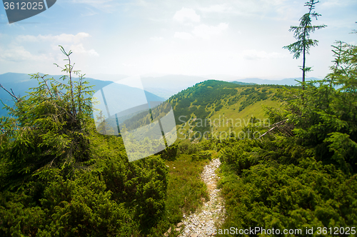 Image of Beautiful meadows on  mountains