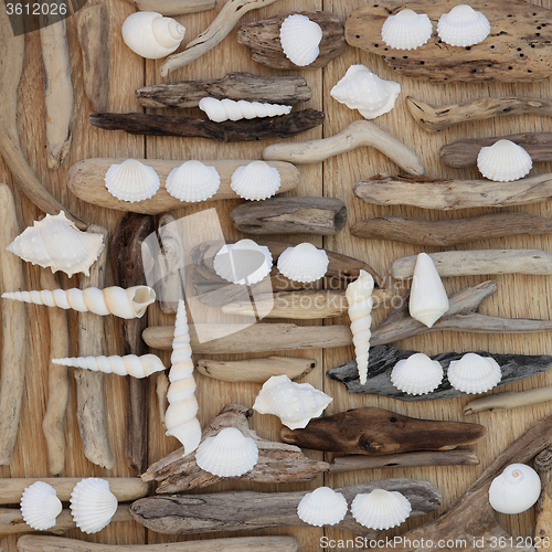 Image of Shell and Rustic Driftwood  