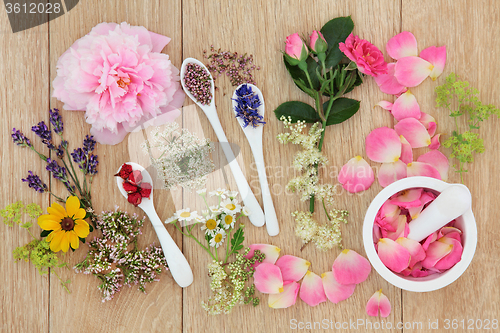 Image of Medicinal Healing Herbs and Flowers