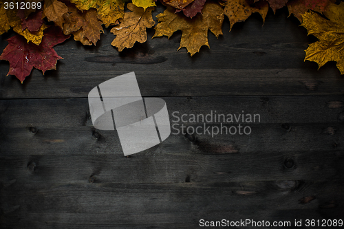 Image of Wood autumn background