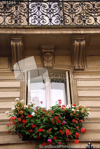 Image of Paris windows