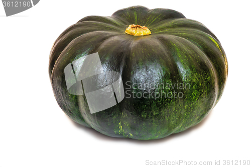 Image of Large ripe pumpkin on a white background.