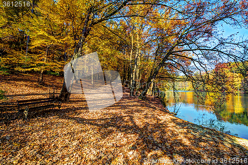 Image of Forest along Lake in the autumn, HDR image