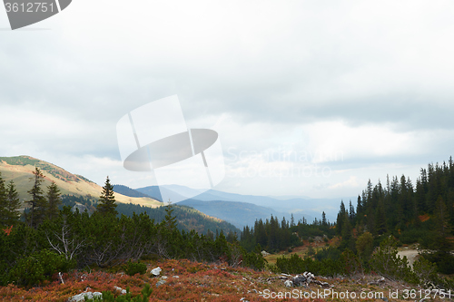 Image of hiking man prepare tasty sausages on campfire