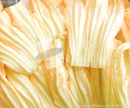 Image of Retro looking Courgette flowers