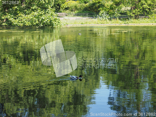 Image of St James Park in London