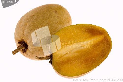 Image of Tropical fruit - Chiku

