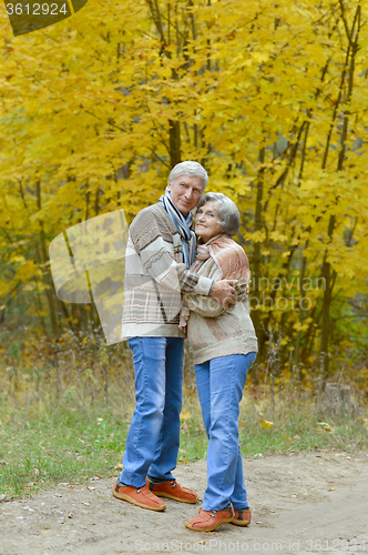 Image of  Senior couple resting