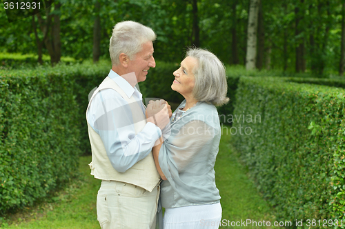 Image of Old couple in love