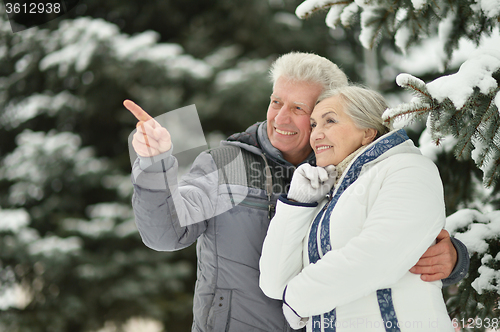Image of Happy senior couple 