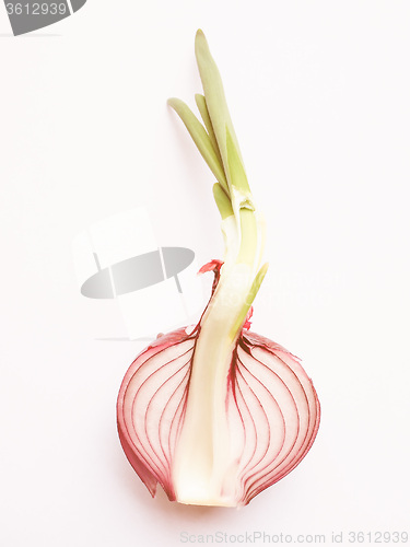 Image of Retro looking Red onions vegetable sliced