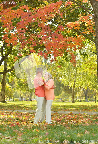 Image of Happy elderly couple 