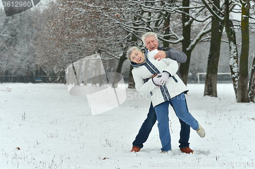 Image of Portrait of elderly couple