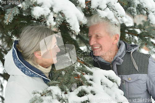 Image of Happy senior couple 