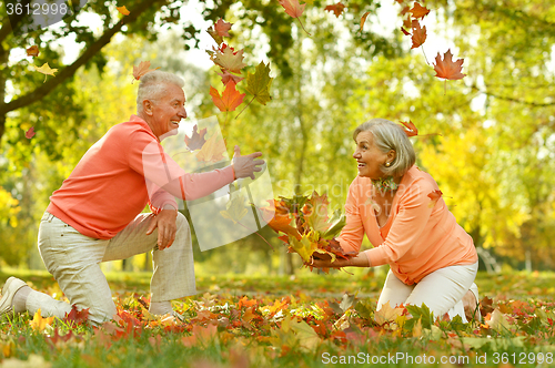 Image of Happy Mature couple 