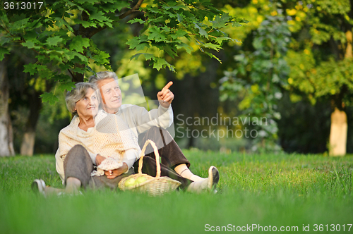 Image of Senior couple on nature