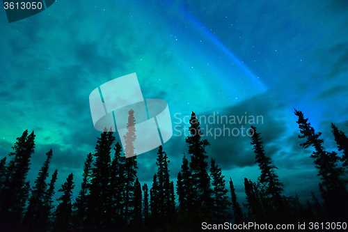 Image of Wrangell Mountains Northern Lights Aurora Borealis Alaska Night 