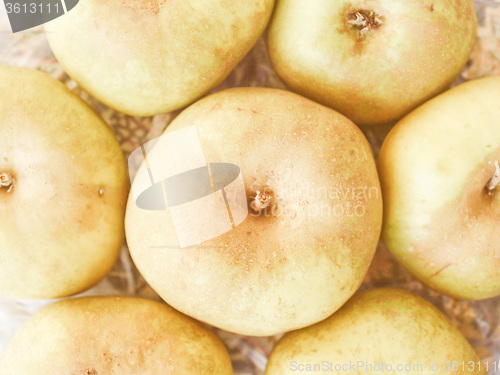 Image of Retro looking Apples